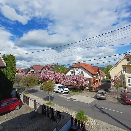 Apartment 6rooms Balaton-heviz