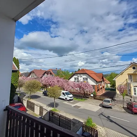 6rooms Balaton-heviz Apartment